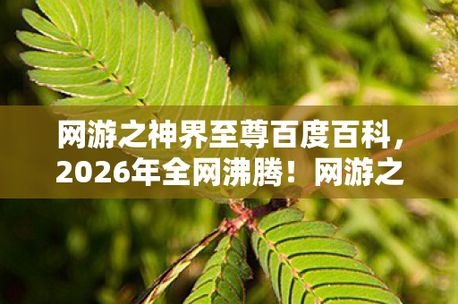 网游之神界至尊百度百科,2026年全网沸腾!网游之神界至尊竟藏惊天逆袭密码? 网游之神界至尊百度百科,2026年全网沸腾!网游之神界至尊竟藏惊天逆袭密码?