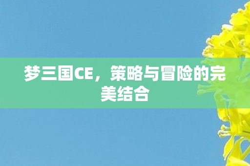 策略与冒险的完美结合图片