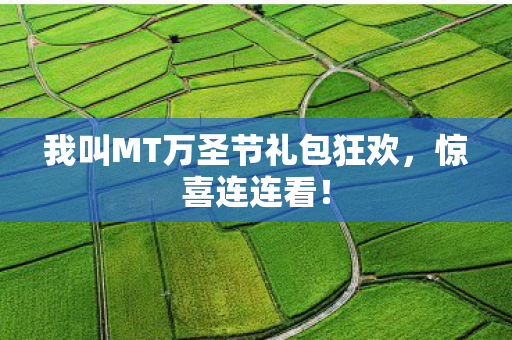 我叫MT万圣节礼包狂欢图片