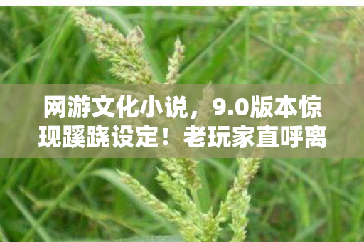 网游文化小说,9.0版本惊现蹊跷设定!老玩家直呼离大谱的迭代史 网游文化小说,9.0版本惊现蹊跷设定!老玩家直呼离大谱的迭代史