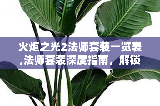 火炬之光2法师套装一览表,法师套装深度指南,解锁灰烬法师的极致输出上限 火炬之光2法师套装一览表,法师套装深度指南,解锁灰烬法师的极致输出上限