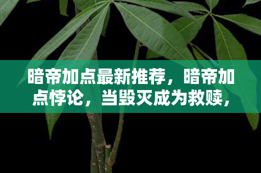 暗帝加点最新推荐,暗帝加点悖论,当毁灭成为救赎,灵魂震颤的层级跃迁 暗帝加点最新推荐,暗帝加点悖论,当毁灭成为救赎,灵魂震颤的层级跃迁