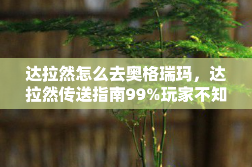 达拉然怎么去奥格瑞玛,达拉然传送指南99%玩家不知道的3条隐秘通道,数据揭秘,这竟是2024年最暴利的流量密码! 达拉然怎么去奥格瑞玛,达拉然传送指南99%玩家不知道的3条隐秘通道,数据揭秘,这竟是2024年最暴利的流量密码!