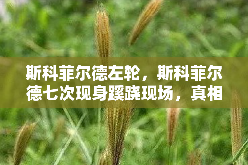 斯科菲尔德左轮,斯科菲尔德七次现身蹊跷现场,真相揭晓时竟让人后背发凉! 斯科菲尔德左轮,斯科菲尔德七次现身蹊跷现场,真相揭晓时竟让人后背发凉!