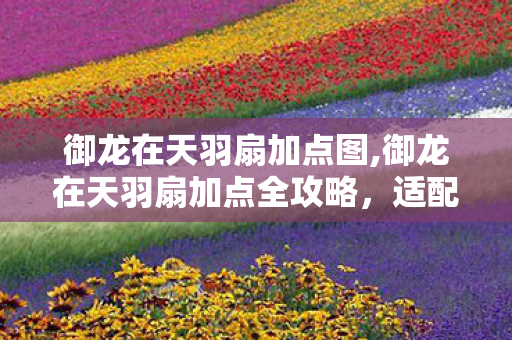 御龙在天羽扇加点图,御龙在天羽扇加点全攻略,适配不同玩法的最优属性分配思路 御龙在天羽扇加点图,御龙在天羽扇加点全攻略,适配不同玩法的最优属性分配思路
