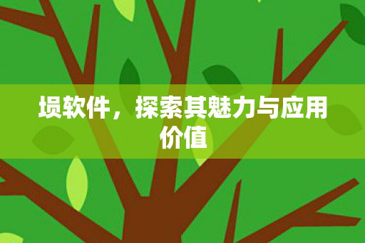 探索其魅力与应用价值图片