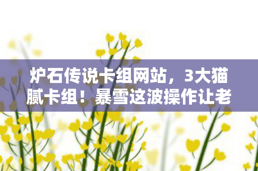 炉石传说卡组网站,3大猫腻卡组!暴雪这波操作让老玩家直呼上头到想摔手机 炉石传说卡组网站,3大猫腻卡组!暴雪这波操作让老玩家直呼上头到想摔手机