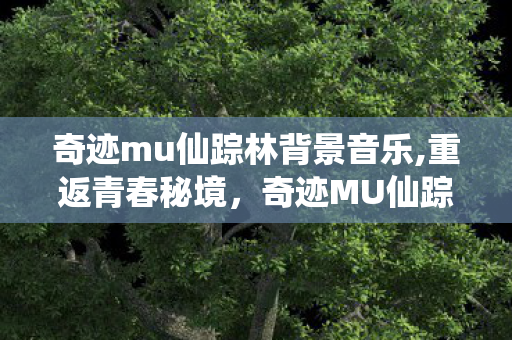 奇迹mu仙踪林背景音乐,重返青春秘境,奇迹MU仙踪林入口的旧时光回响 奇迹mu仙踪林背景音乐,重返青春秘境,奇迹MU仙踪林入口的旧时光回响