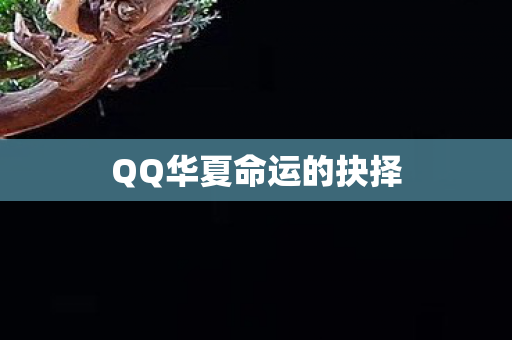 QQ华夏命运的抉择图片