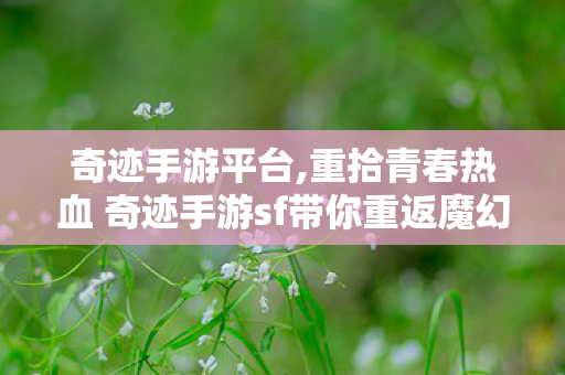 奇迹手游平台,重拾青春热血 奇迹手游sf带你重返魔幻大陆 奇迹手游平台,重拾青春热血 奇迹手游sf带你重返魔幻大陆