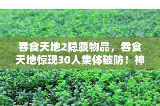 吞食天地2隐藏物品,吞食天地惊现30人集体破防!神秘BUG竟让大神萌新集体绷不住? 吞食天地2隐藏物品,吞食天地惊现30人集体破防!神秘BUG竟让大神萌新集体绷不住?