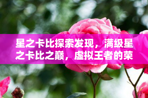 星之卡比探索发现,满级星之卡比之巅,虚拟王者的荣耀与现实废墟的悖论震颤 星之卡比探索发现,满级星之卡比之巅,虚拟王者的荣耀与现实废墟的悖论震颤