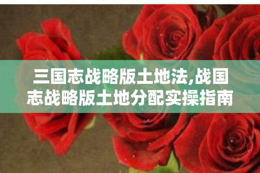 三国志战略版土地法,战国志战略版土地分配实操指南,资源最优配置的核心逻辑 三国志战略版土地法,战国志战略版土地分配实操指南,资源最优配置的核心逻辑