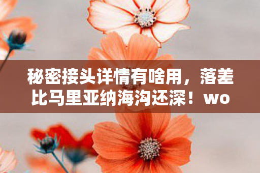 秘密接头详情有啥用,落差比马里亚纳海沟还深!wow秘密接头真相,笑着骂完,哭着上线 秘密接头详情有啥用,落差比马里亚纳海沟还深!wow秘密接头真相,笑着骂完,哭着上线