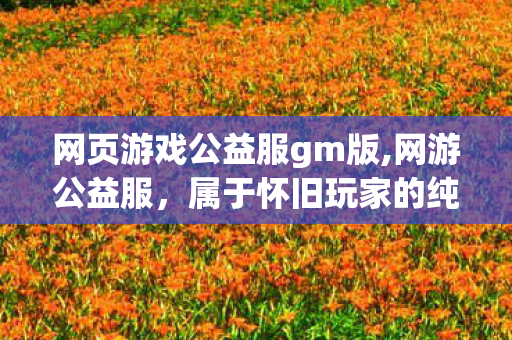 网页游戏公益服gm版,网游公益服,属于怀旧玩家的纯粹游戏自留地 网页游戏公益服gm版,网游公益服,属于怀旧玩家的纯粹游戏自留地