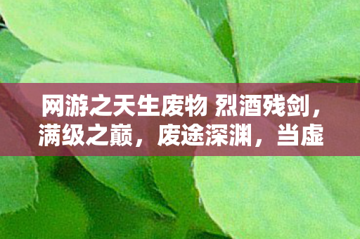 网游之天生废物 烈酒残剑,满级之巅,废途深渊,当虚拟王者撞碎现实枷锁 网游之天生废物 烈酒残剑,满级之巅,废途深渊,当虚拟王者撞碎现实枷锁