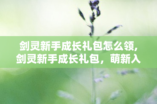 剑灵新手成长礼包怎么领,剑灵新手成长礼包,萌新入坑路上的第一份贴心助力 剑灵新手成长礼包怎么领,剑灵新手成长礼包,萌新入坑路上的第一份贴心助力