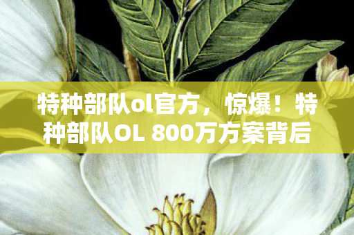 特种部队ol官方,惊爆!特种部队OL 800万方案背后隐情,看完真让人吓一跳! 特种部队ol官方,惊爆!特种部队OL 800万方案背后隐情,看完真让人吓一跳!