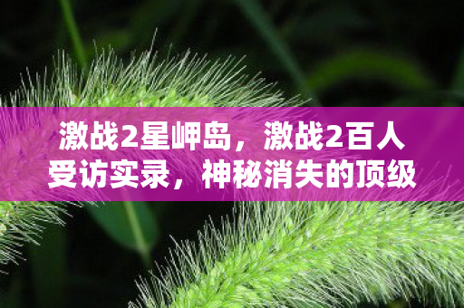 激战2星岬岛,激战2百人受访实录,神秘消失的顶级装备,网吧老炮儿绷不住了 激战2星岬岛,激战2百人受访实录,神秘消失的顶级装备,网吧老炮儿绷不住了