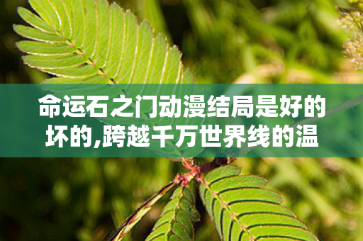 命运石之门动漫结局是好的坏的,跨越千万世界线的温柔归处,命运石之门结局的浪漫内核 命运石之门动漫结局是好的坏的,跨越千万世界线的温柔归处,命运石之门结局的浪漫内核