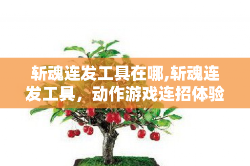 斩魂连发工具在哪,斩魂连发工具,动作游戏连招体验的实用优化助手 斩魂连发工具在哪,斩魂连发工具,动作游戏连招体验的实用优化助手