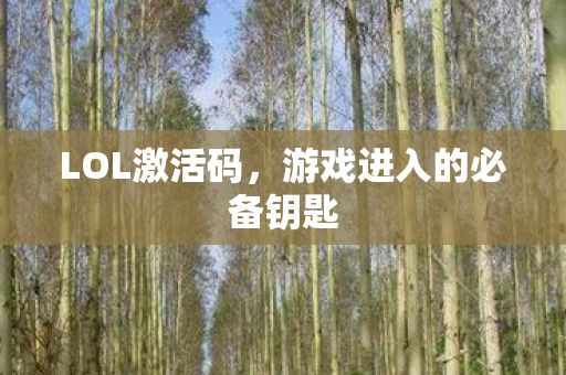 游戏进入的必备钥匙图片