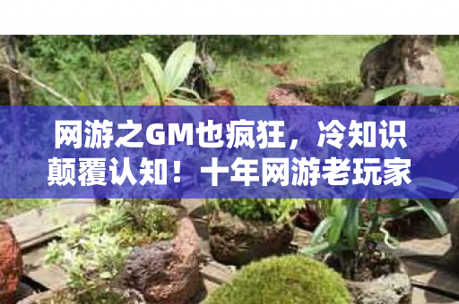 网游之GM也疯狂,冷知识颠覆认知!十年网游老玩家竟被GM彩蛋整得目瞪口呆 网游之GM也疯狂,冷知识颠覆认知!十年网游老玩家竟被GM彩蛋整得目瞪口呆