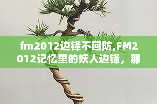 fm2012边锋不回防,FM2012记忆里的妖人边锋,那些年我们低买高卖的边路利刃 fm2012边锋不回防,FM2012记忆里的妖人边锋,那些年我们低买高卖的边路利刃