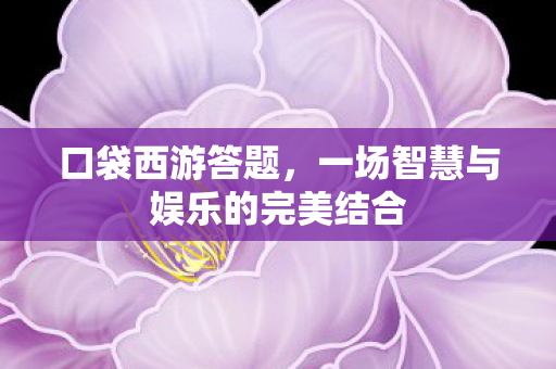 一场智慧与娱乐的完美结合图片