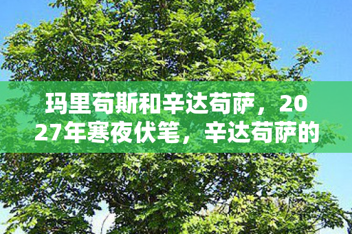 玛里苟斯和辛达苟萨,2027年寒夜伏笔,辛达苟萨的雪落时,谁在频道喊别走让我鼻子一酸 玛里苟斯和辛达苟萨,2027年寒夜伏笔,辛达苟萨的雪落时,谁在频道喊别走让我鼻子一酸