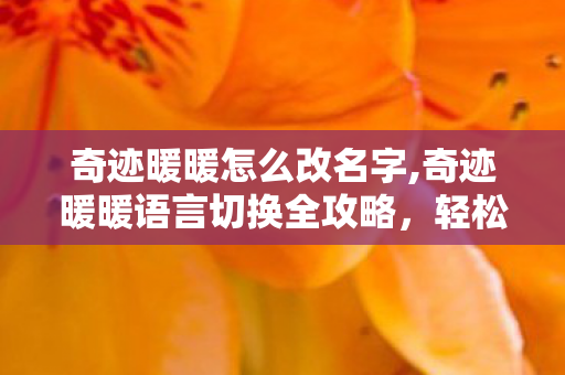 奇迹暖暖怎么改名字,奇迹暖暖语言切换全攻略，轻松调整适配你的使用习惯