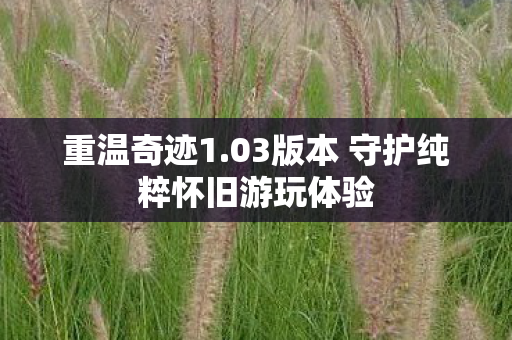 重温奇迹1.03版本 守护纯粹怀旧游玩体验