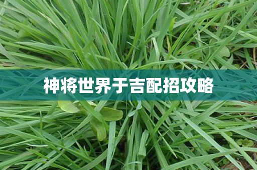 神将世界于吉配招攻略图片
