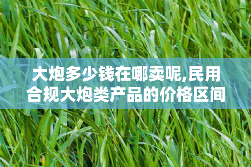 大炮多少钱在哪卖呢,民用合规大炮类产品的价格区间与选购指南 大炮多少钱在哪卖呢,民用合规大炮类产品的价格区间与选购指南
