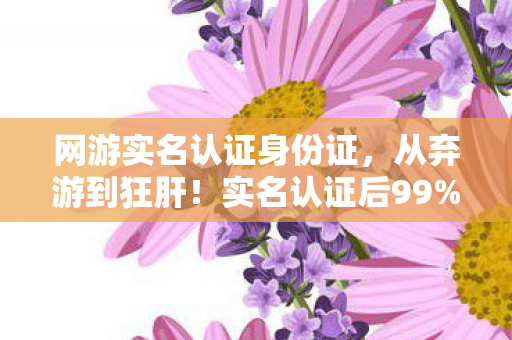 网游实名认证身份证,从弃游到狂肝!实名认证后99%玩家退坑,我却因这1个改动杀回战场 网游实名认证身份证,从弃游到狂肝!实名认证后99%玩家退坑,我却因这1个改动杀回战场