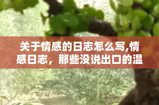 关于情感的日志怎么写,情感日志,那些没说出口的温柔,都藏在日常缝隙里 关于情感的日志怎么写,情感日志,那些没说出口的温柔,都藏在日常缝隙里