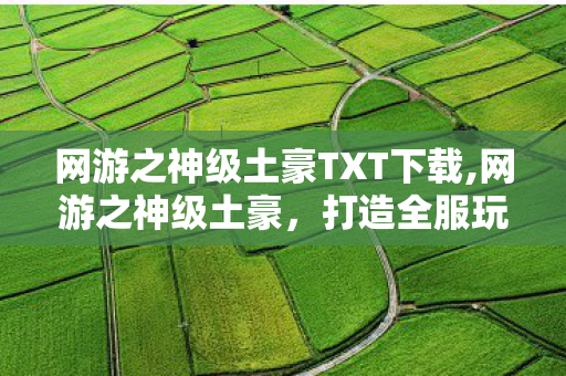 网游之神级土豪TXT下载,网游之神级土豪，打造全服玩家的理想游戏乐园