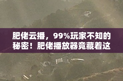 肥佬云播,99%玩家不知的秘密!肥佬播放器竟藏着这扎心真相? 肥佬云播,99%玩家不知的秘密!肥佬播放器竟藏着这扎心真相?