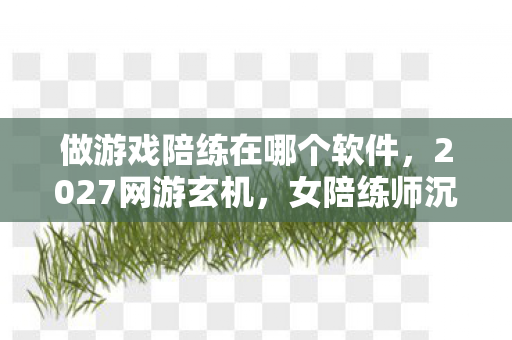 做游戏陪练在哪个软件,2027网游玄机,女陪练师沉默背后,这游戏究竟给了我什么? 做游戏陪练在哪个软件,2027网游玄机,女陪练师沉默背后,这游戏究竟给了我什么?