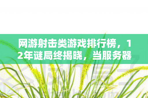 网游射击类游戏排行榜,12年谜局终揭晓,当服务器熄灭时,谁在弹幕里写下再见,我的青春? 网游射击类游戏排行榜,12年谜局终揭晓,当服务器熄灭时,谁在弹幕里写下再见,我的青春?
