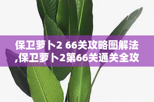 保卫萝卜2 66关攻略图解法,保卫萝卜2第66关通关全攻略,零道具轻松拿满三星 保卫萝卜2 66关攻略图解法,保卫萝卜2第66关通关全攻略,零道具轻松拿满三星