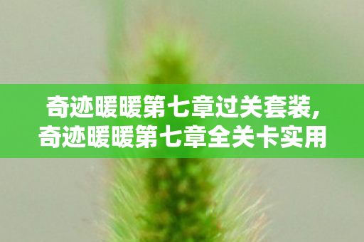 奇迹暖暖第七章过关套装,奇迹暖暖第七章全关卡实用搭配指南 轻松拿下全S评级 奇迹暖暖第七章过关套装,奇迹暖暖第七章全关卡实用搭配指南 轻松拿下全S评级