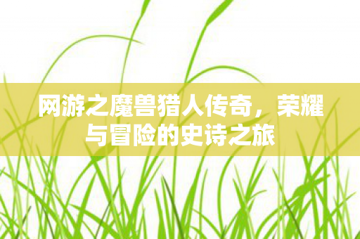 荣耀与冒险的史诗之旅图片