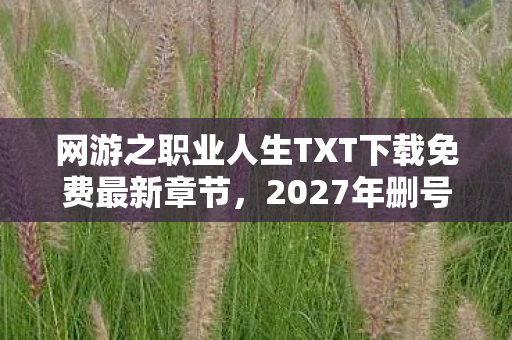 网游之职业人生TXT下载免费最新章节,2027年删号前夜,那些别走的聊天记录,让我鼻子一酸 网游之职业人生TXT下载免费最新章节,2027年删号前夜,那些别走的聊天记录,让我鼻子一酸