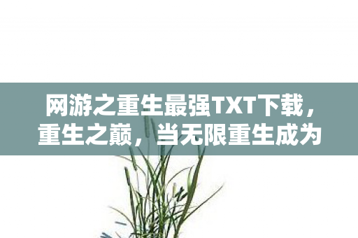 网游之重生最强TXT下载,重生之巅,当无限重生成为命运枷锁,自由意志在数据洪流中如何突围? 网游之重生最强TXT下载,重生之巅,当无限重生成为命运枷锁,自由意志在数据洪流中如何突围?