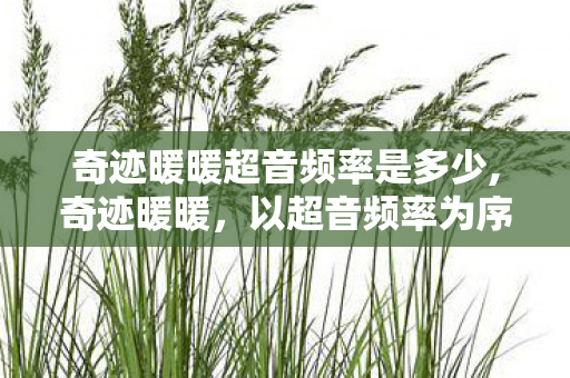 奇迹暖暖超音频率是多少,奇迹暖暖,以超音频率为序,奏响赛博穿搭的浪漫狂想曲 奇迹暖暖超音频率是多少,奇迹暖暖,以超音频率为序,奏响赛博穿搭的浪漫狂想曲