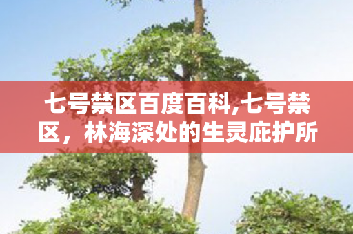 七号禁区百度百科,七号禁区,林海深处的生灵庇护所 七号禁区百度百科,七号禁区,林海深处的生灵庇护所