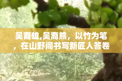 吴裔雄,吴裔熊,以竹为笔,在山野间书写新匠人答卷 吴裔雄,吴裔熊,以竹为笔,在山野间书写新匠人答卷