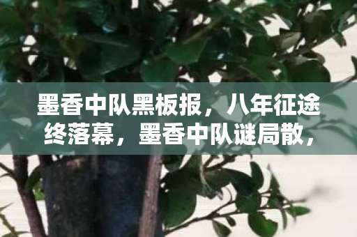 墨香中队黑板报,八年征途终落幕,墨香中队谜局散,泪目竟是空留憾 墨香中队黑板报,八年征途终落幕,墨香中队谜局散,泪目竟是空留憾