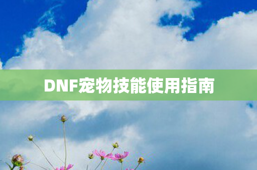 DNF宠物技能使用指南图片